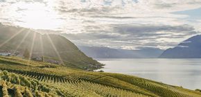 Salon des Vins Vaudois 2026