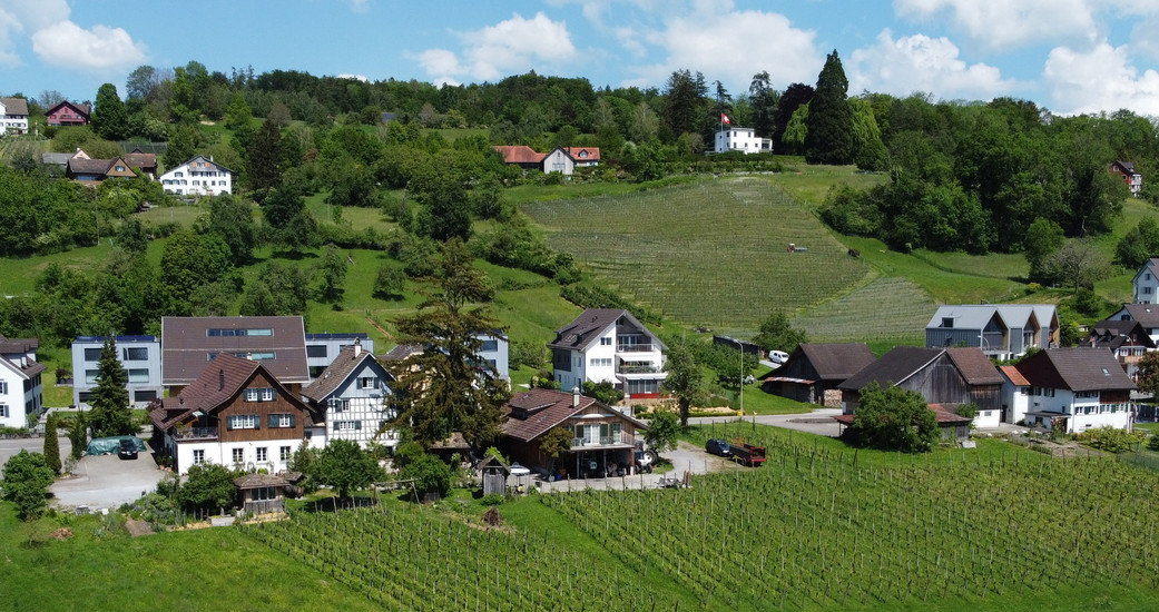 Weinbau Wetli, Männedorf