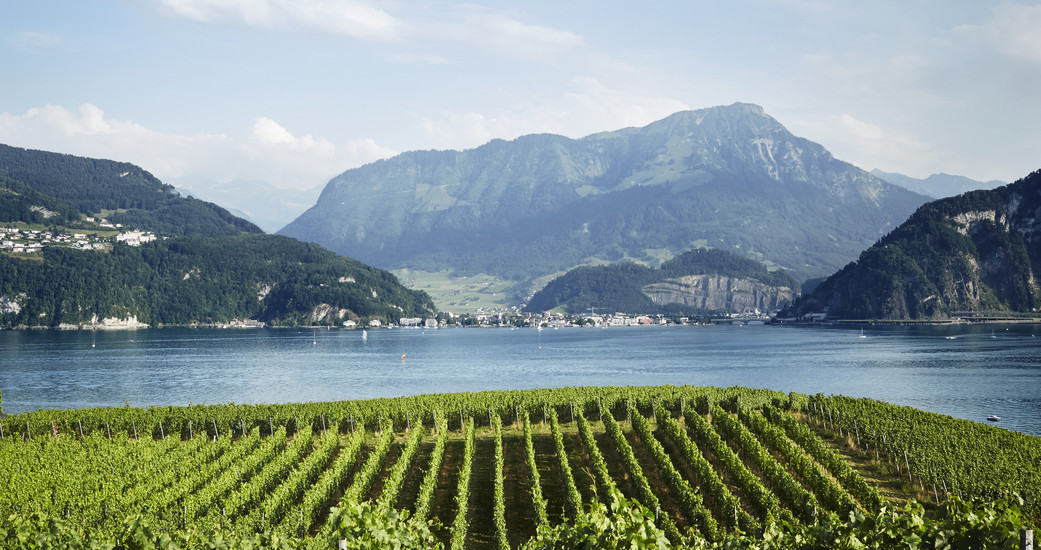 Weingut Kastanienbaum AG