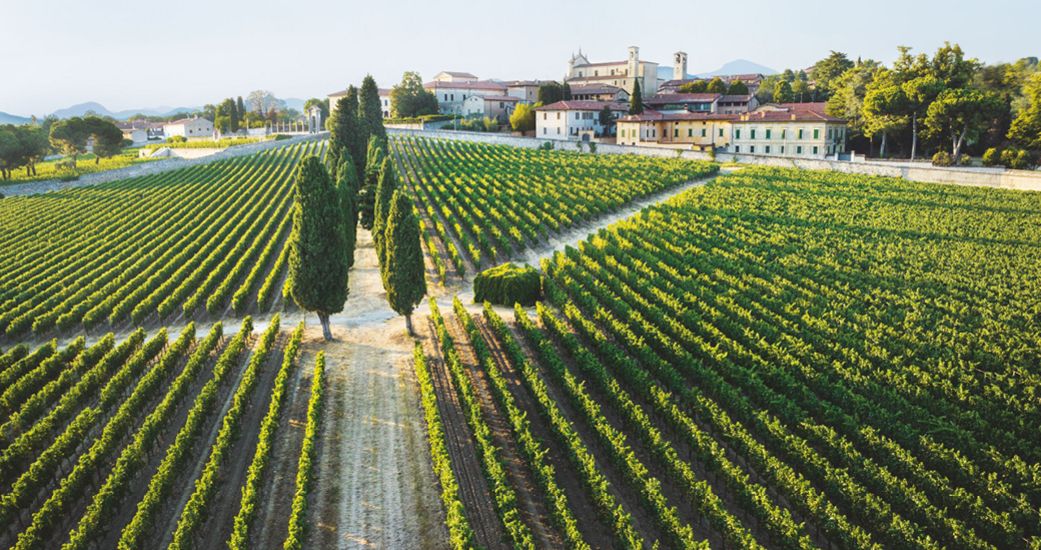 Casa del Vino SA