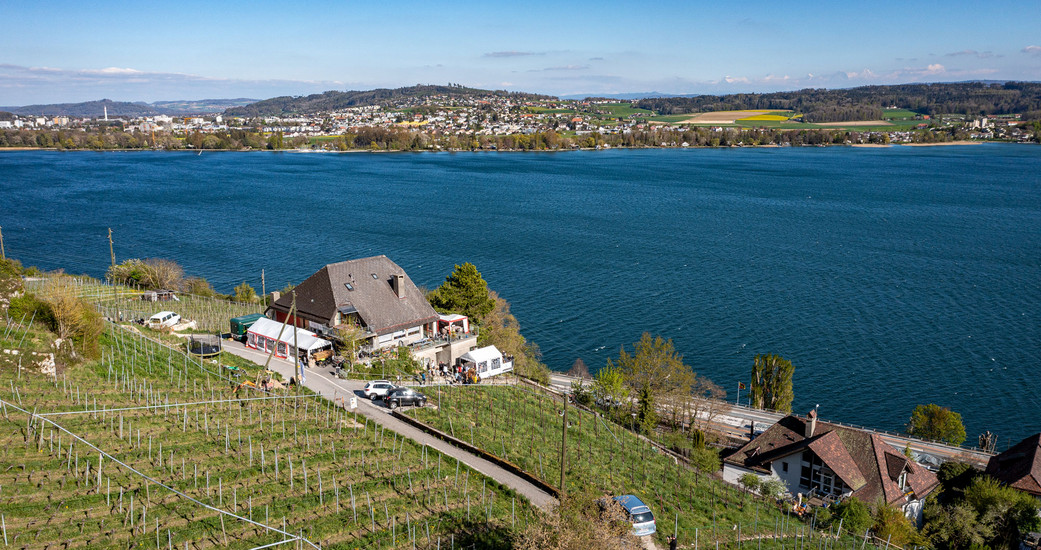SiLOU Wines