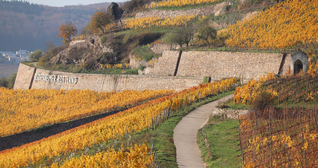 Weingut Dr. Nägler