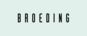 Logo: Broeding - Weinhandel Ritzling Gastronomiebetriebs GmbH