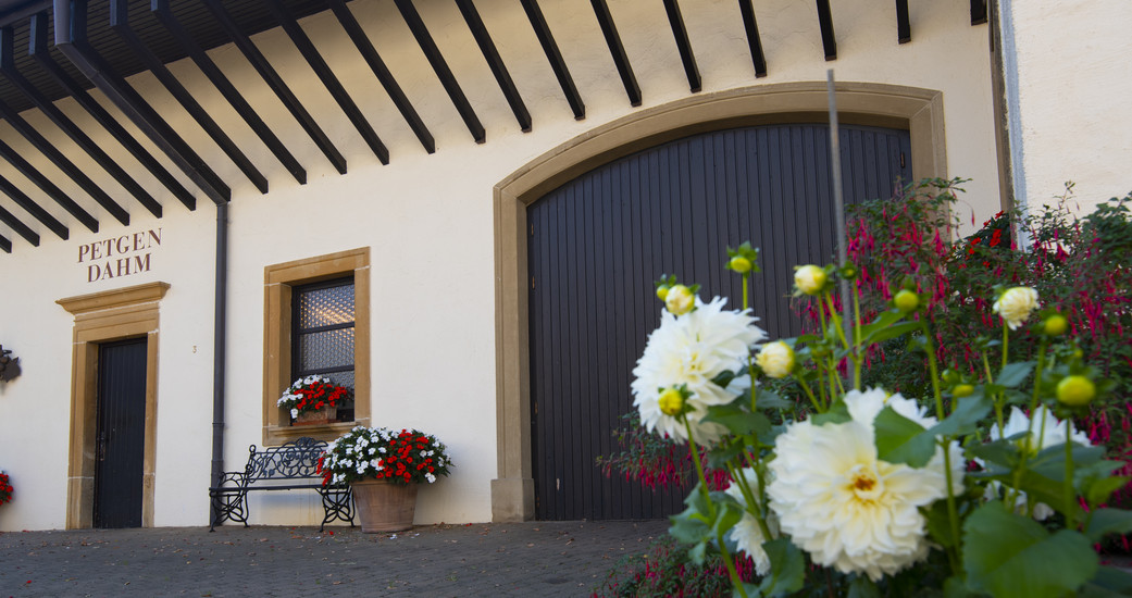 Weingut Ökonomierat Petgen-Dahm