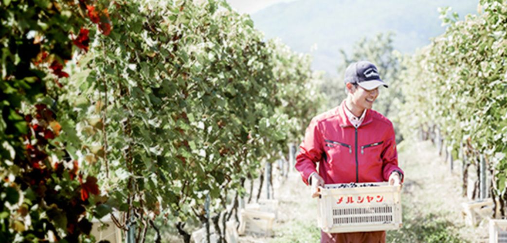 Koshu - Japans Weine