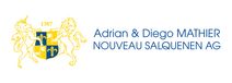 Logo: Nouveau Salquenen AG