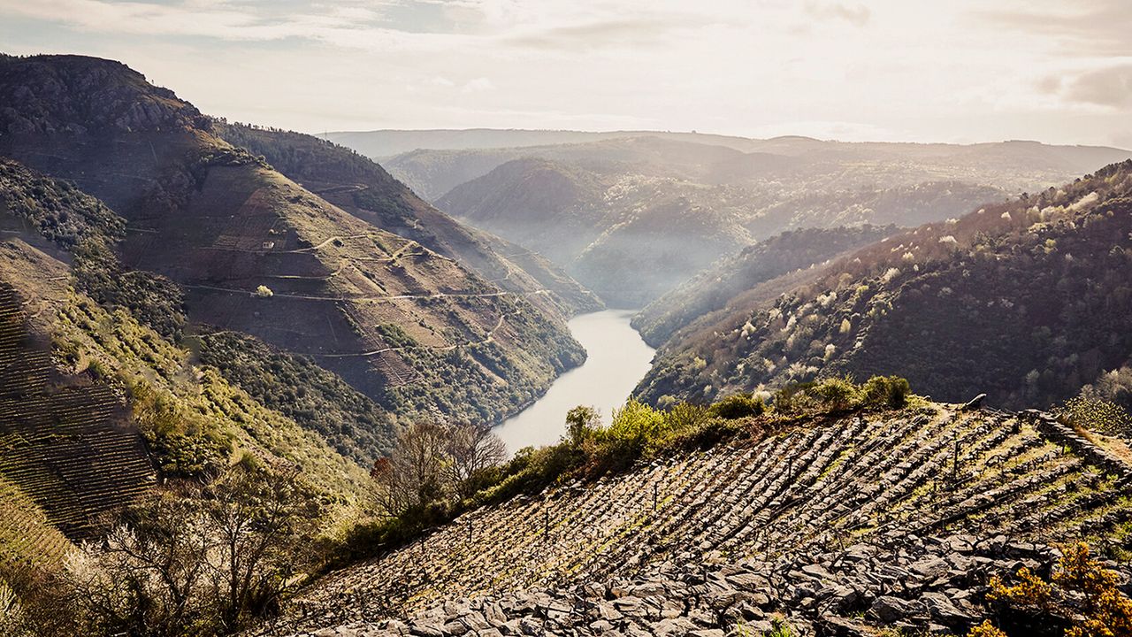 Magisches Gallicien Reportage VINUM