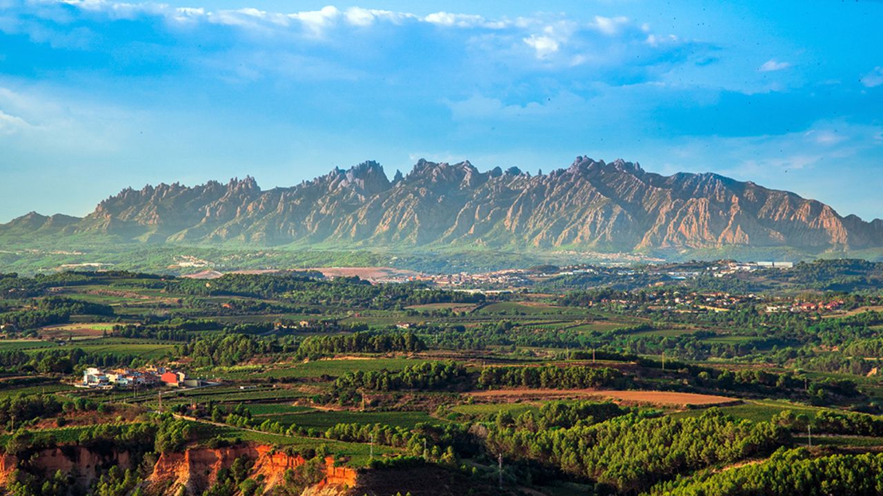 Best of Cava & Co. im World of Bubbles VINUM