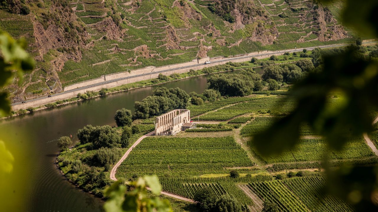 Die besten Winzer der Weinregion Mosel VINUM Weinguide Deutschland 2023