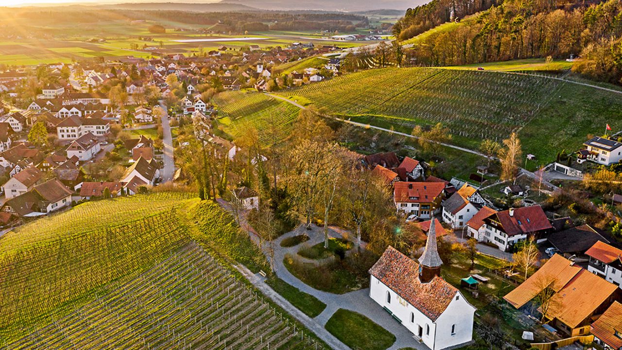 Kanton Zürich VINUM