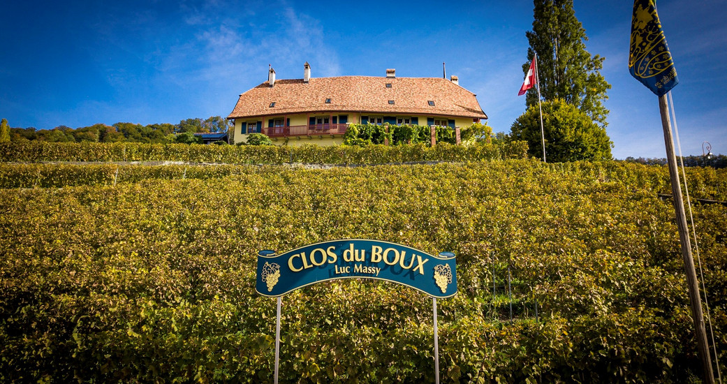 Luc Massy Vins