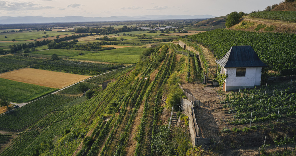 Weingut Dr. Heger