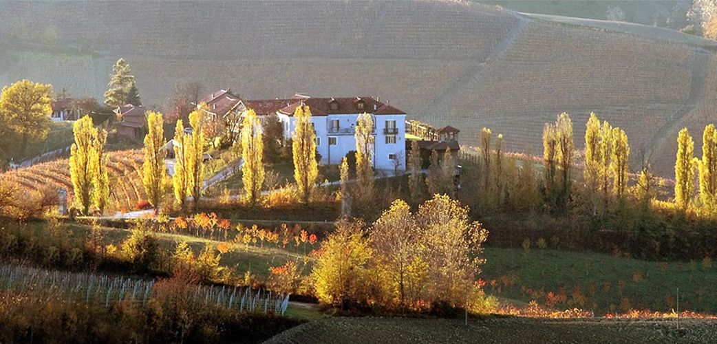 Barolo Ludo