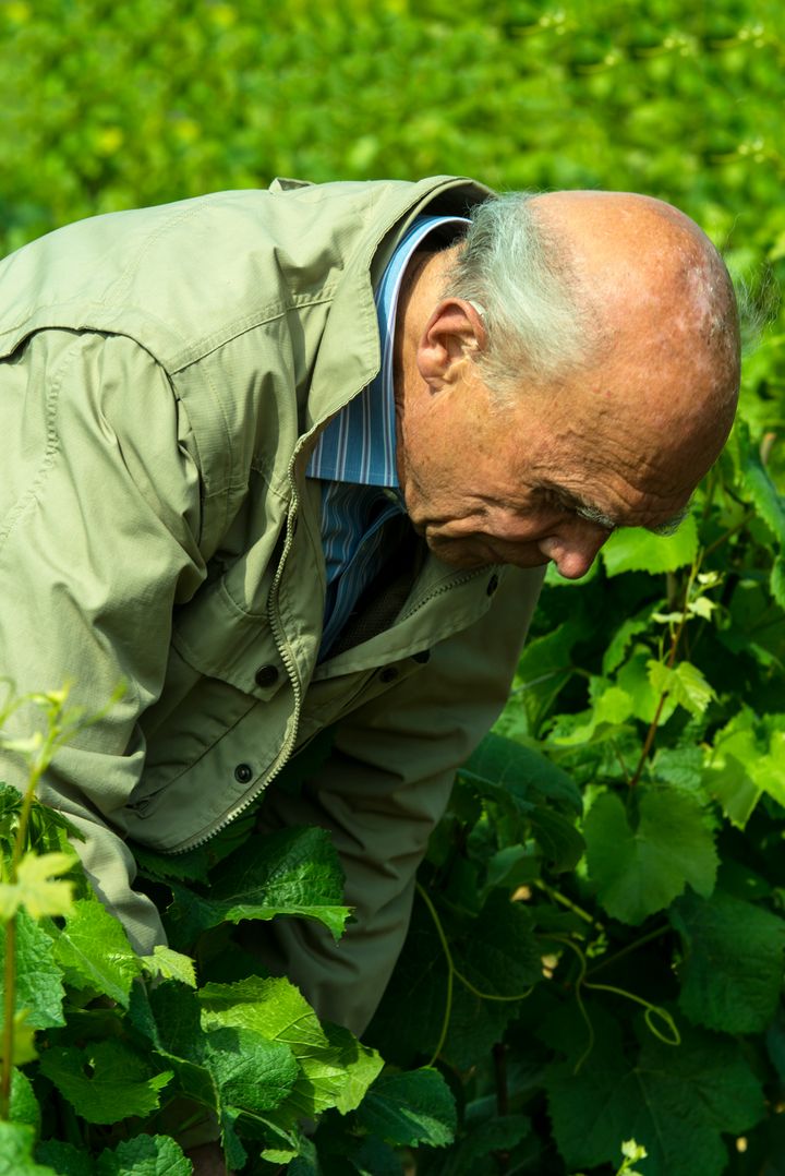 Aubert de Villaine