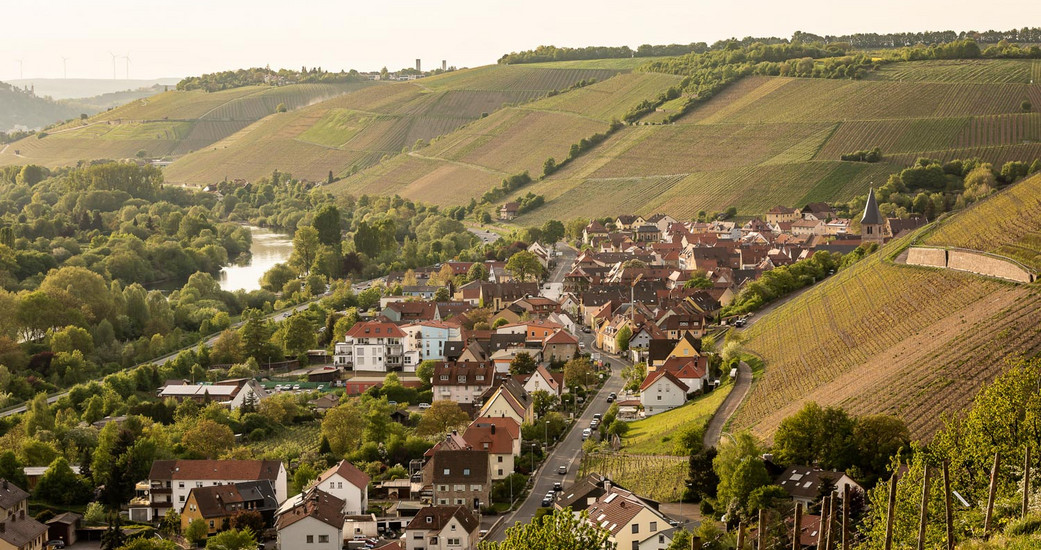 Weingut Schmachtenberger