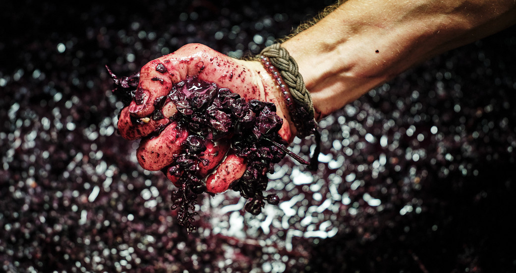 Le Vin de l'A