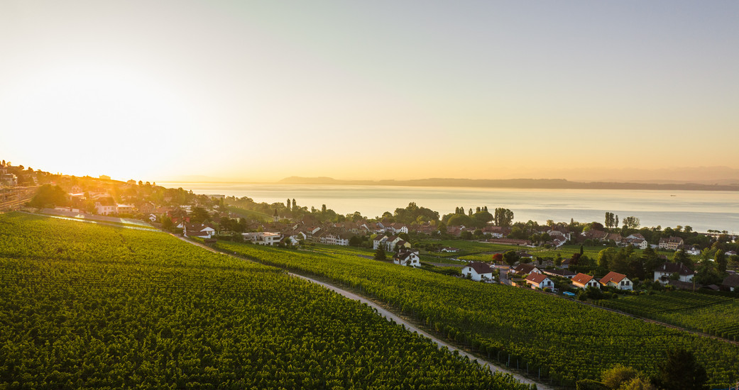 Domaine de Montmollin