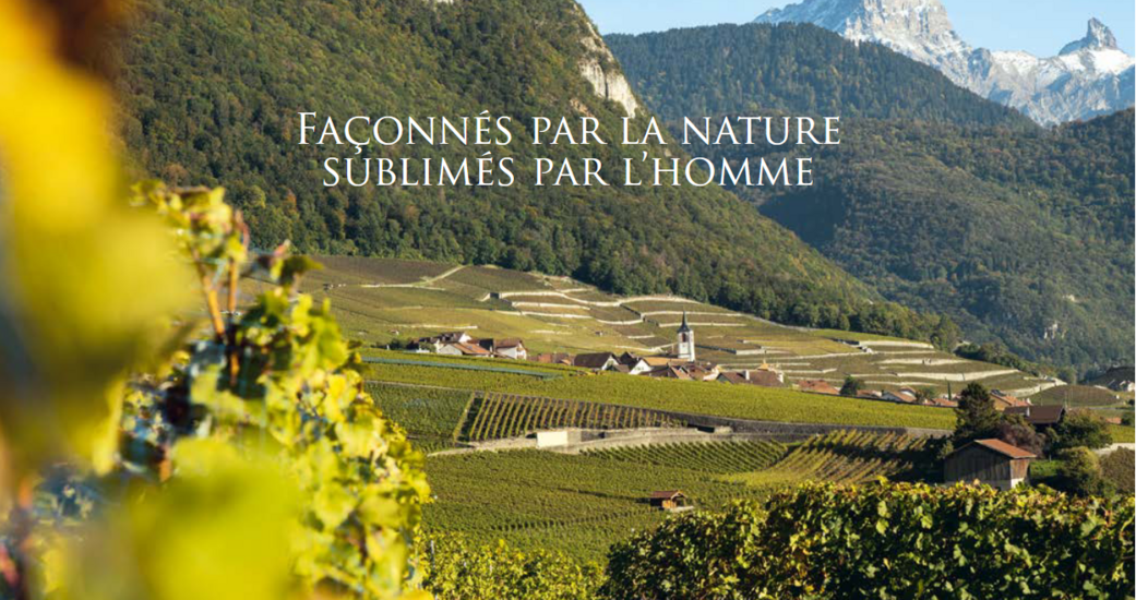 Domaine de la Commune d'Yvorne