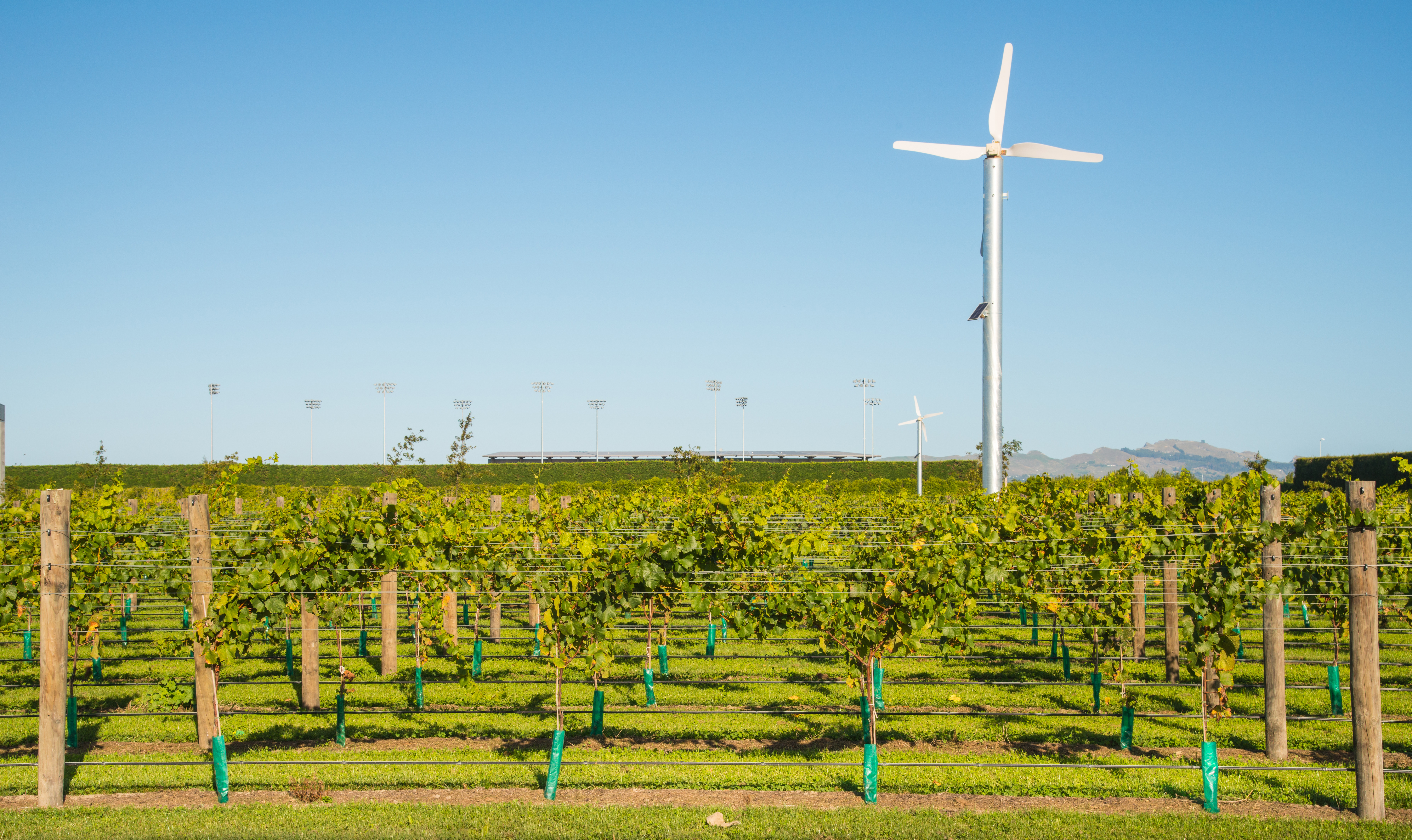 Le vignoble d'Hawke's Bay, en Nouvelle-Zéland. Photo: Getty/Boyloso Le vignoble d'Hawke's Bay, en Nouvelle-Zéland. Photo: Getty/Boyloso