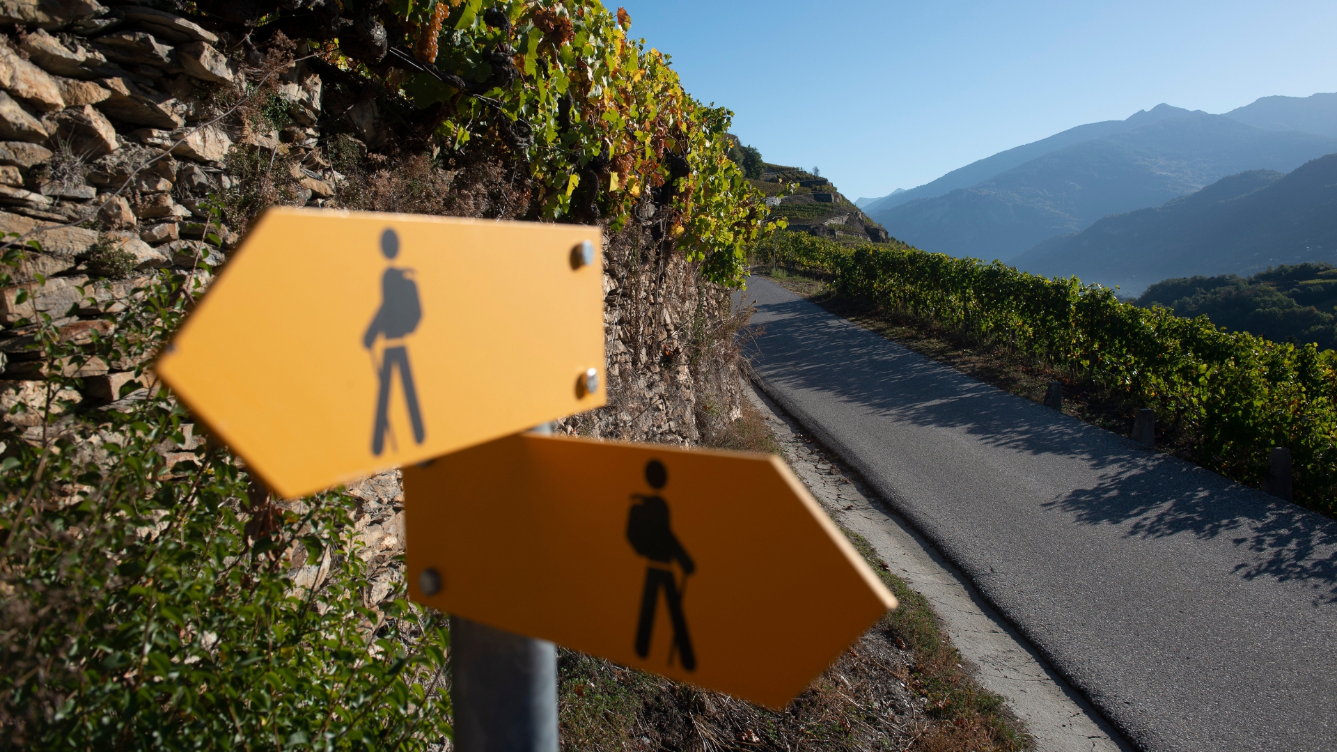 Le vignoble valaisan est sur la bonne voie vers le 21ème siècle (Image d'illustration: Siffert/weinweltfoto.ch)