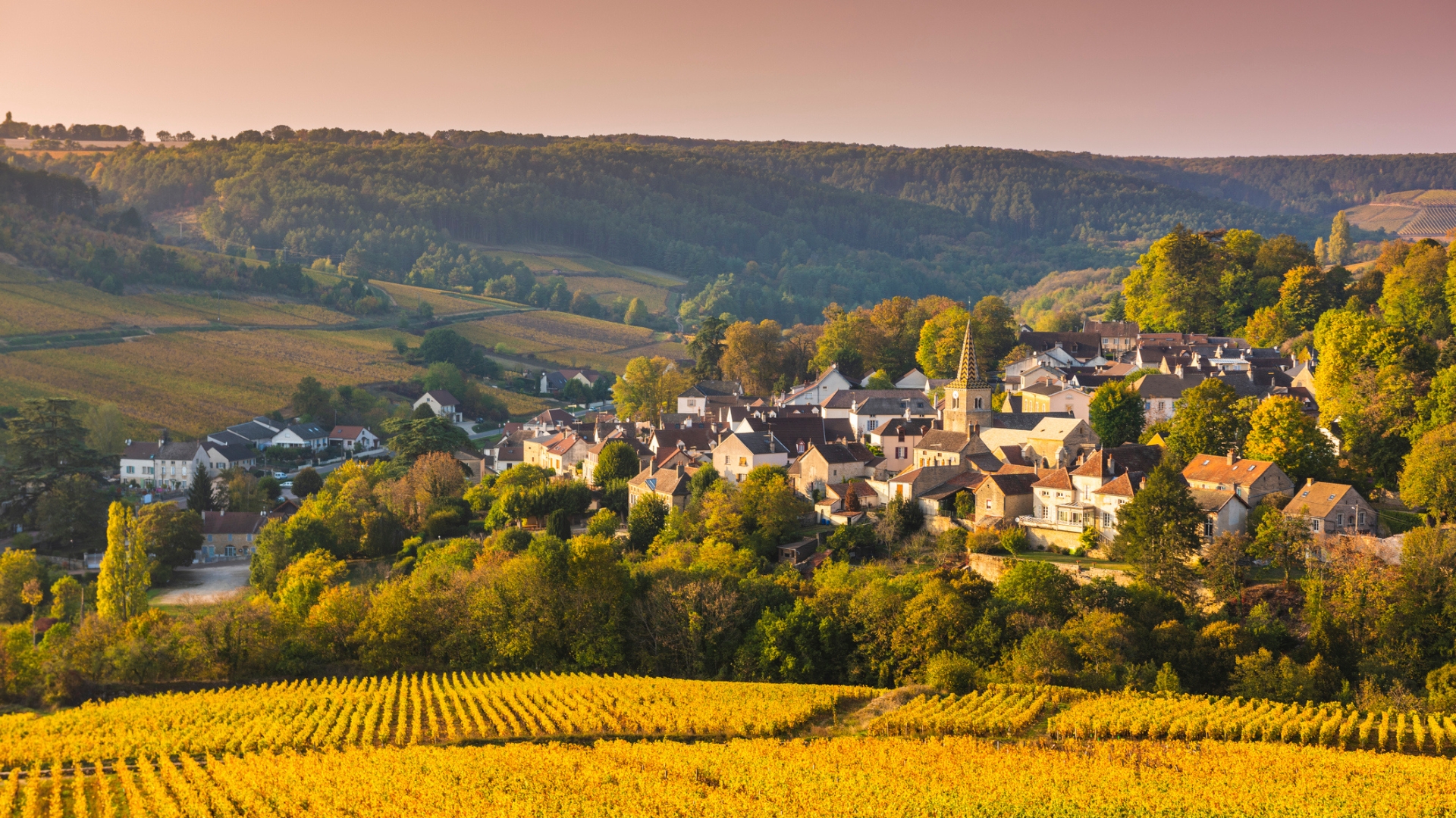 Le village de Pernand-Vergelesses, en Bourgogne, où le groupe LVMH possédait déjà des parcelles prestigieuses (photo: Getty) Le village de Pernand-Vergelesses, en Bourgogne, où le groupe LVMH possédait déjà des parcelles prestigieuses (photo: Getty)