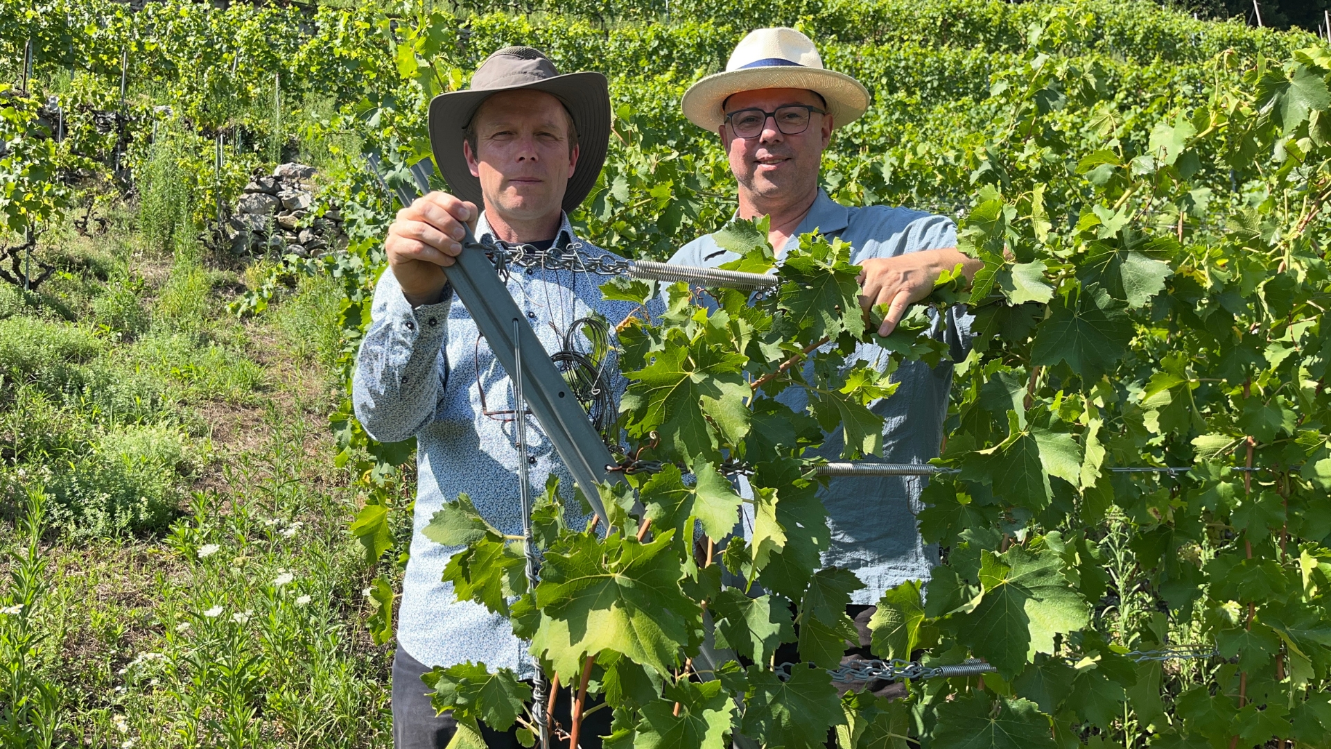 Olivier Pittet et José Vouillamoz avec un cep de Fuliaco (photo m.à.d.)