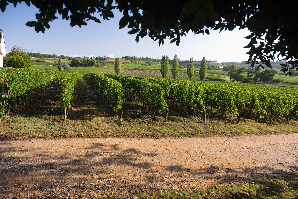 Côtes de Bordeaux