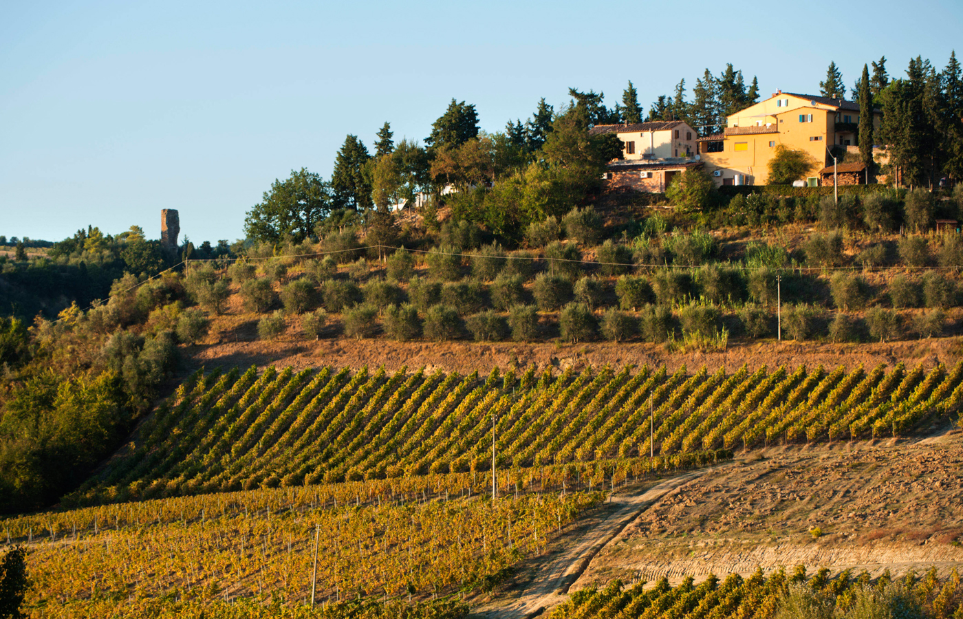 Weingut Vignano auf dem Hügel, Toskana, Italien