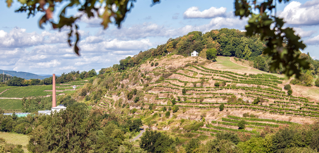 Disibodenberg