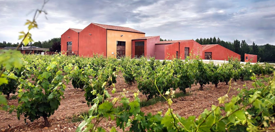 Bodegas Ortega Fournier