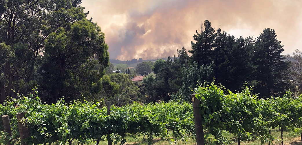 Buschfeuer in Australien