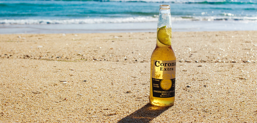 Corona Bier