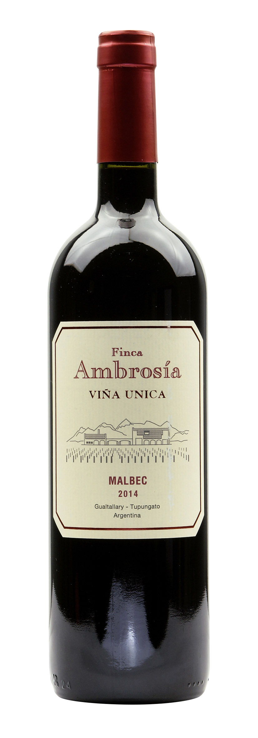 Mendoza Malbec «Vina Unica» 2014