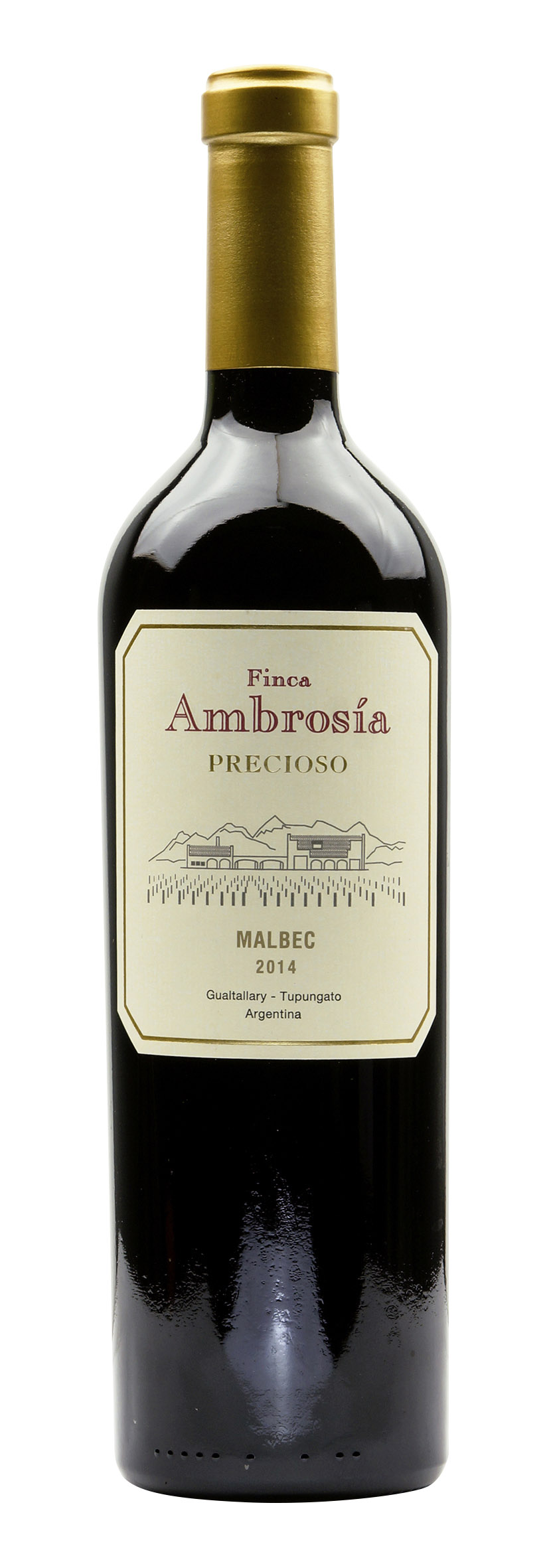 Mendoza Malbec «Precioso» 2014