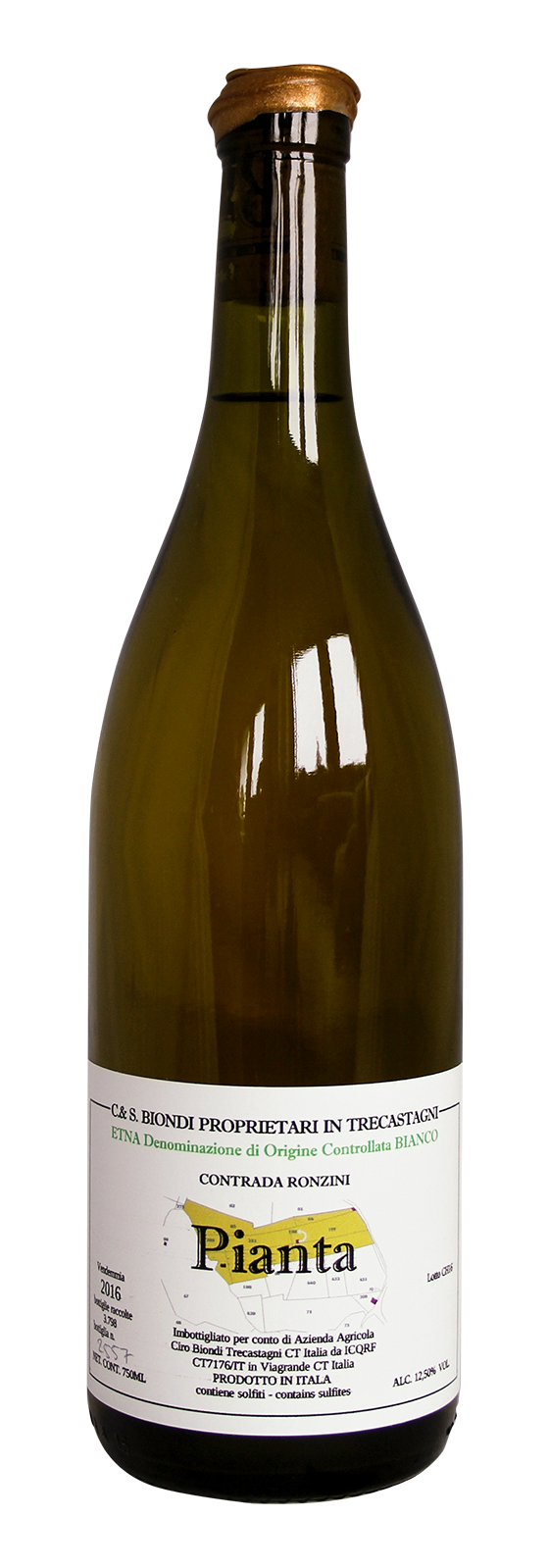 Etna DOC Bianco Contrada Ronzini Pianta  2016