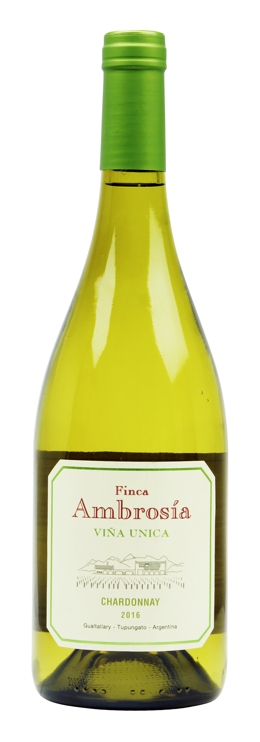 Vina Unica Chardonnay 2016