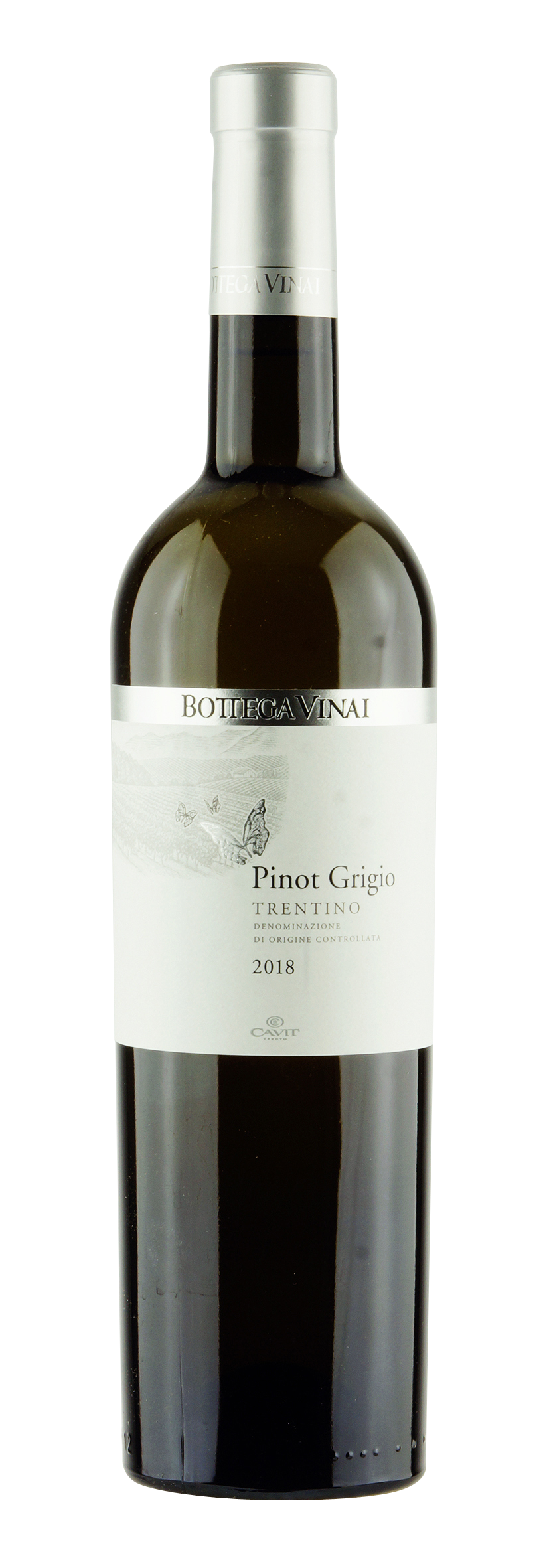 Trentino DOC Pinot Grigio Bottega Vinai 2018