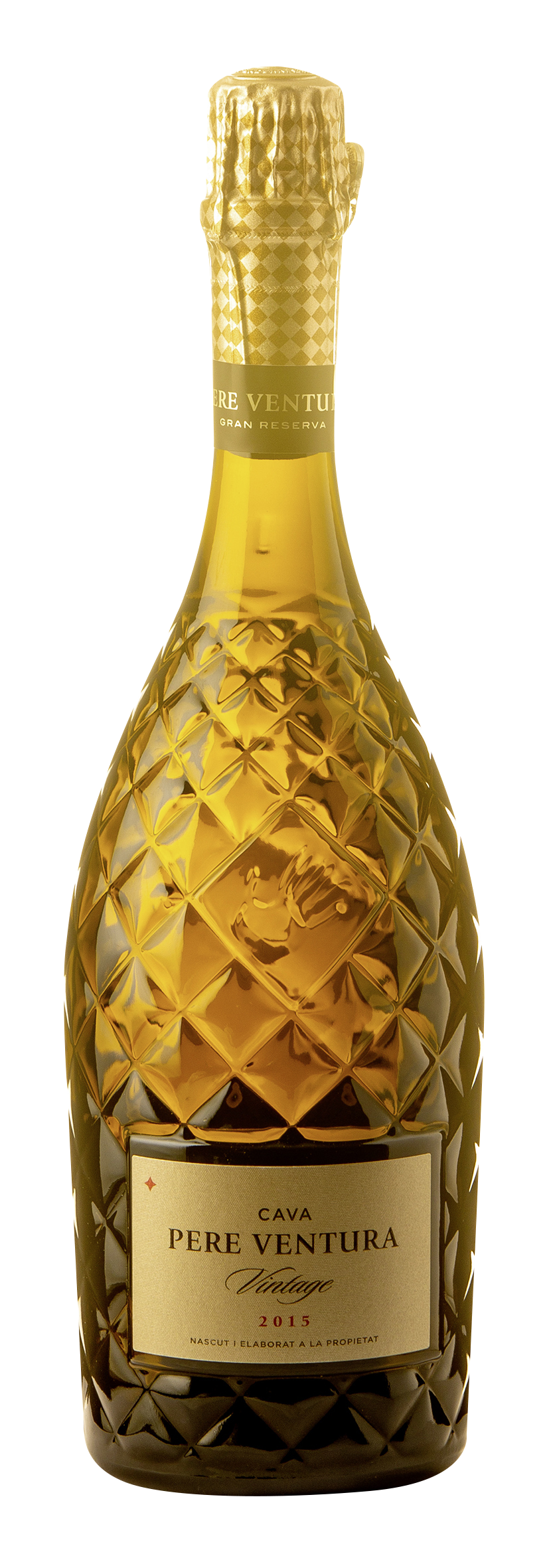 Penedès DO Cava Vintage Gran Reserva Brut 2015