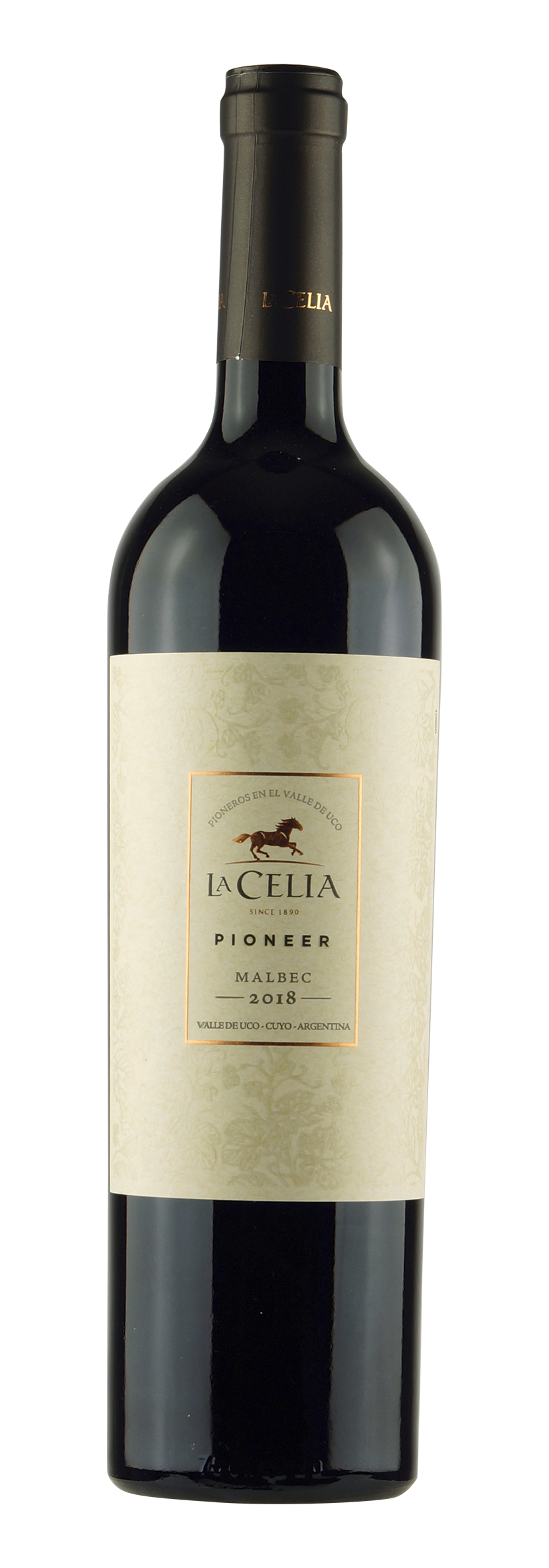 Mendoza Malbec «Pioneer» 2018